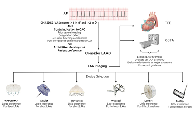 Mini-invasive Surgery