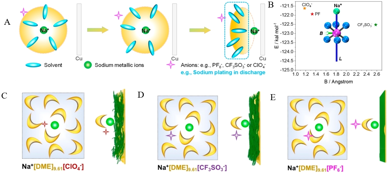 Electrolyte Solvation Structure As A Stabilization Mechanism For Electrodes