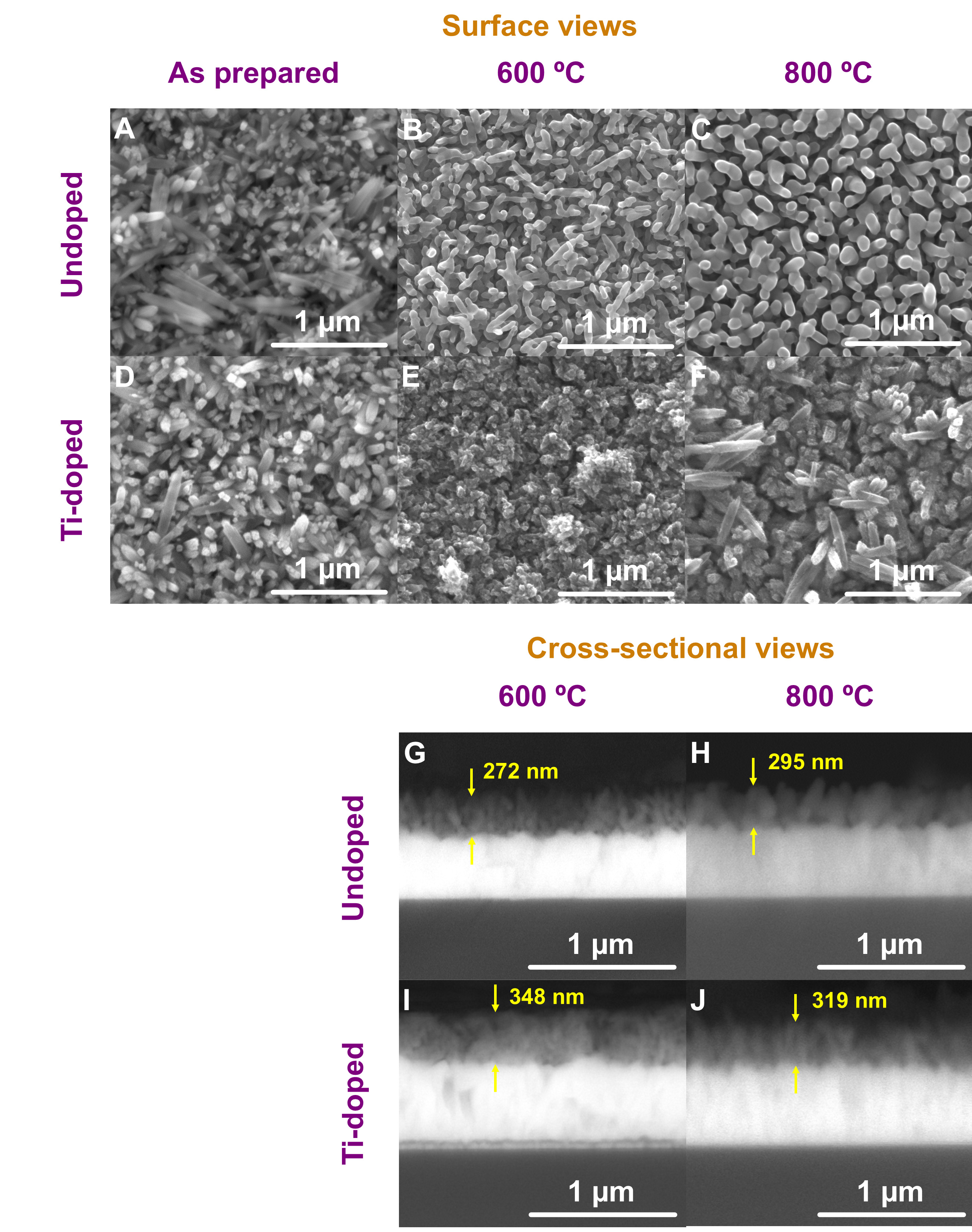 Exploring the interplay of Ti-Sn co-doping in photoelectrochemical water splitting of hematite nanowires