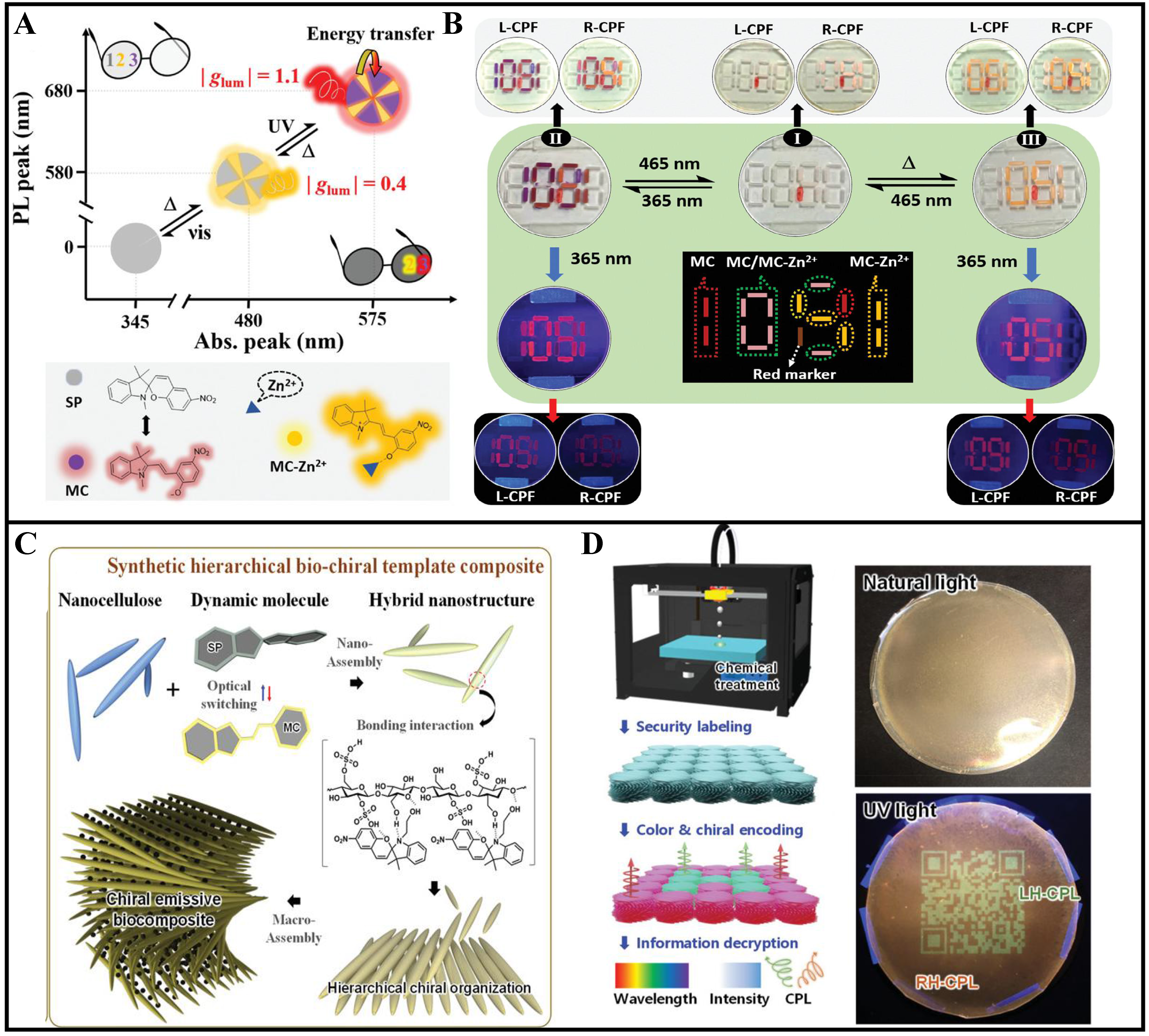 Circularly polarized luminescence in chiral nematic liquid crystals based on photochromic molecules