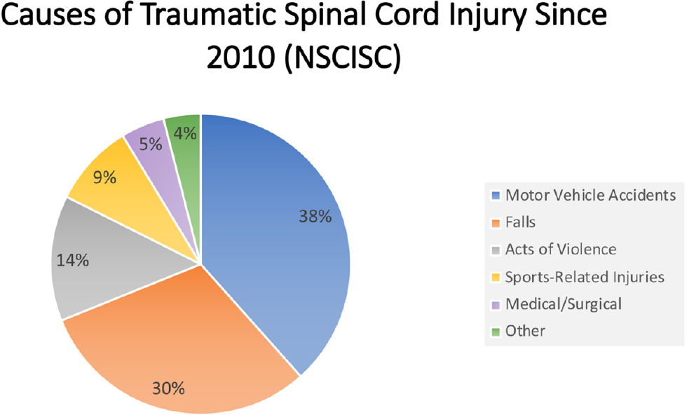 Asia Spinal Cord Injury Chart