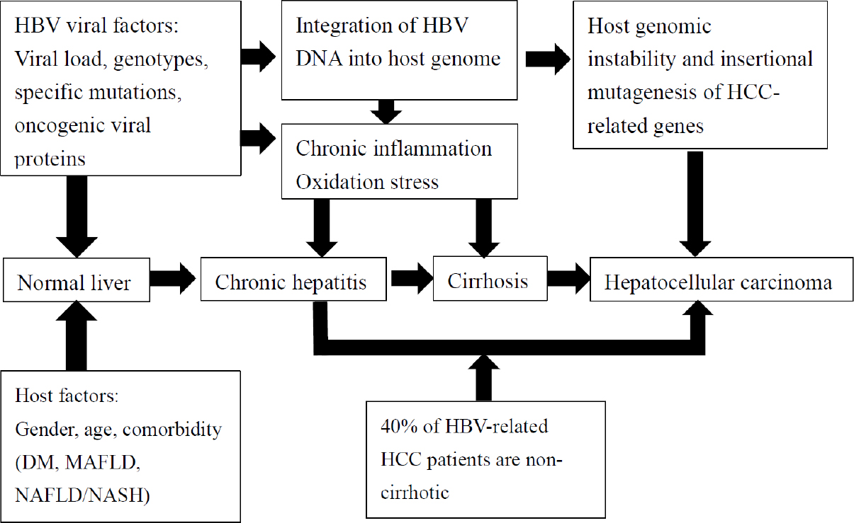 Prevention Of Hepatitis B Virus Related Hepatocellular Carcinoma