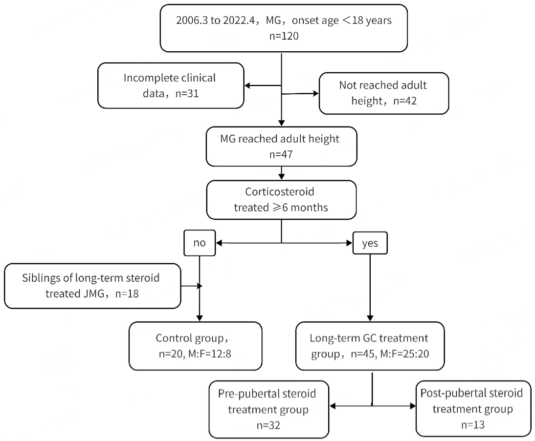 Long-term impact of corticosteroid therapy on adult height in juvenile myasthenia gravis patients: a retrospective multicenter cohort study