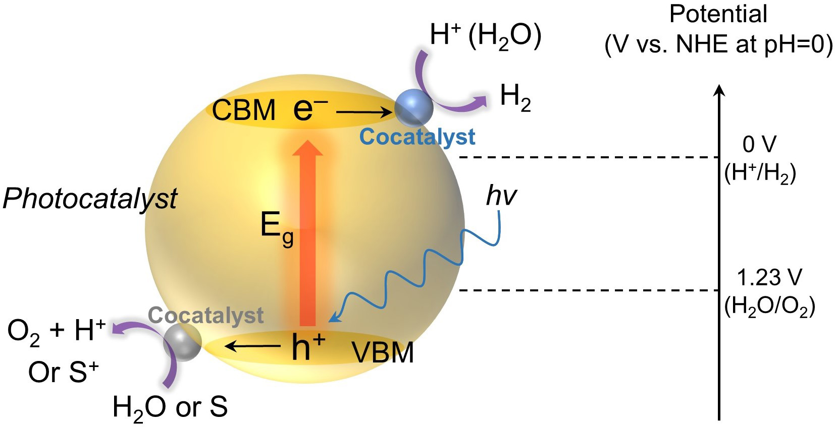 Recent Advances In Photocatalytic Renewable Energy Production