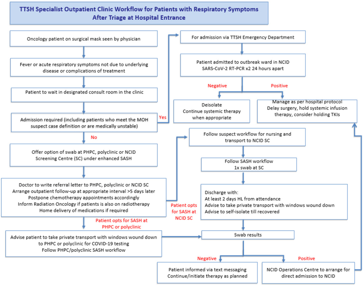 Lung cancer management during the COVID-19 pandemic: experience of 