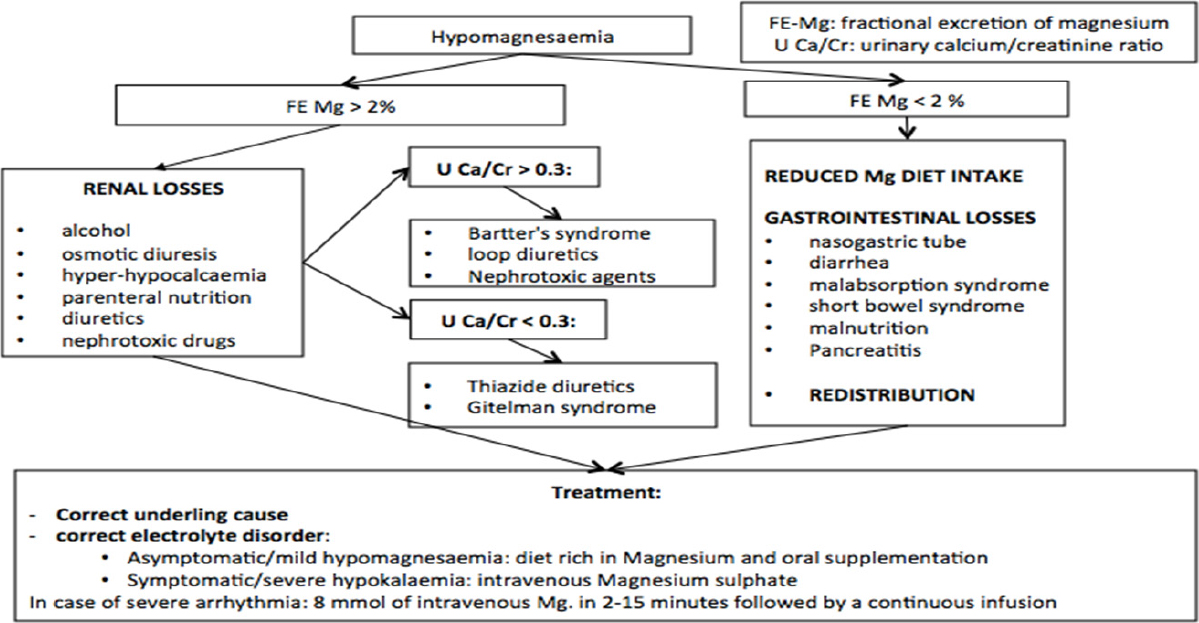 squamous cell carcinoma rectum prognosis