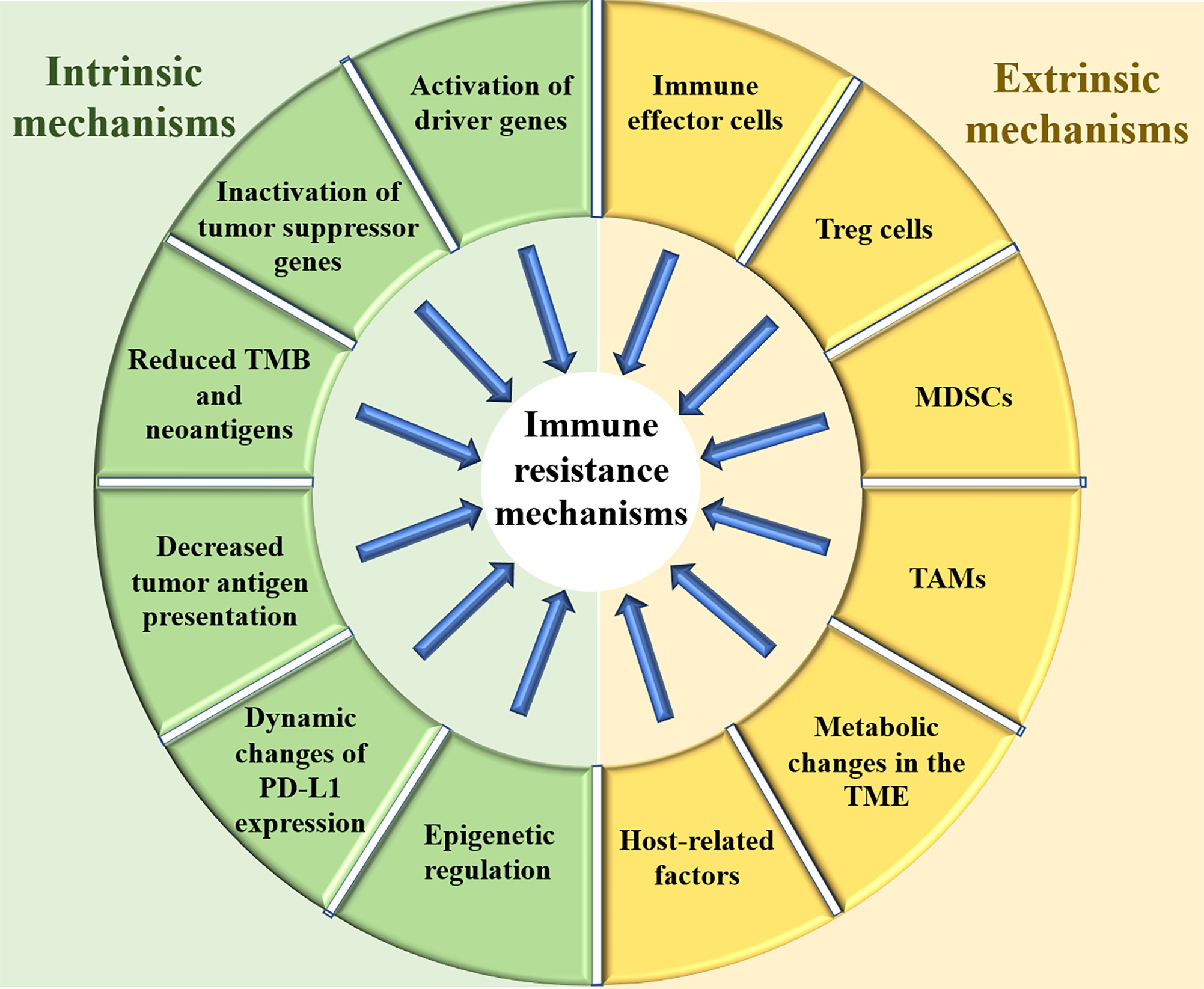 Immunotherapy Resistance Of Lung Cancer Immunotherapy Resistance Of Lung Cancer