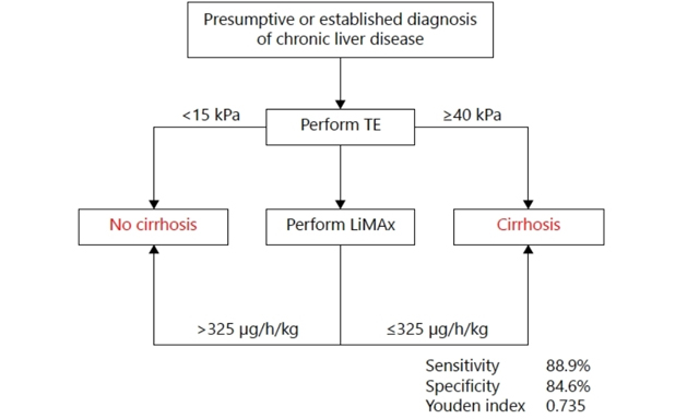 Hepatoma Research