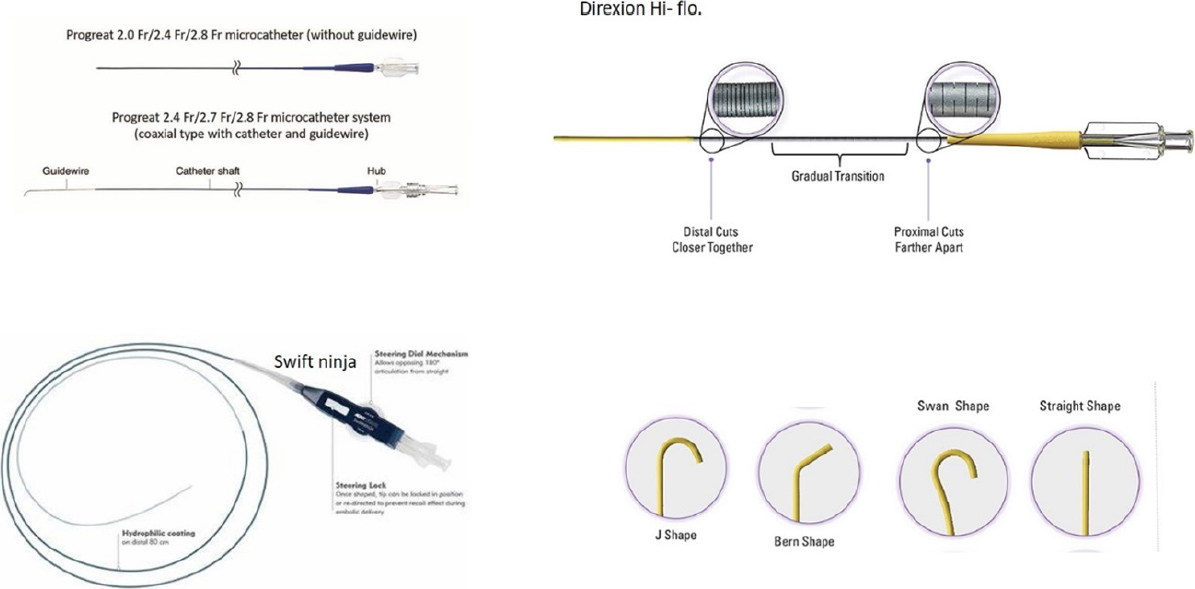 Technical Update On Transcatheter Arterial Chemoembolization