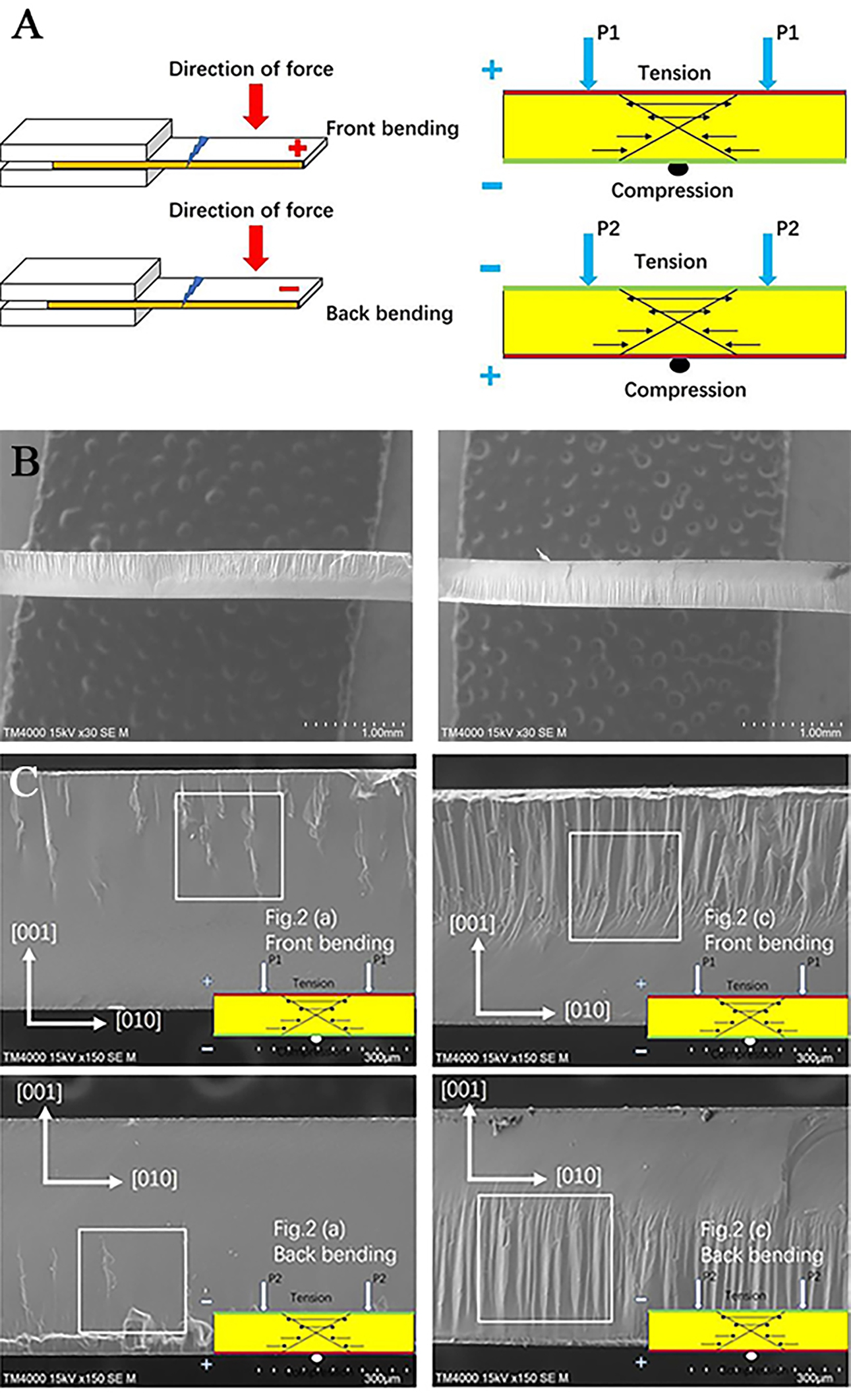 Microstructure and piezoelectric properties of AC poled relaxor-PbTiO<sub>3</sub> perovskite single crystals