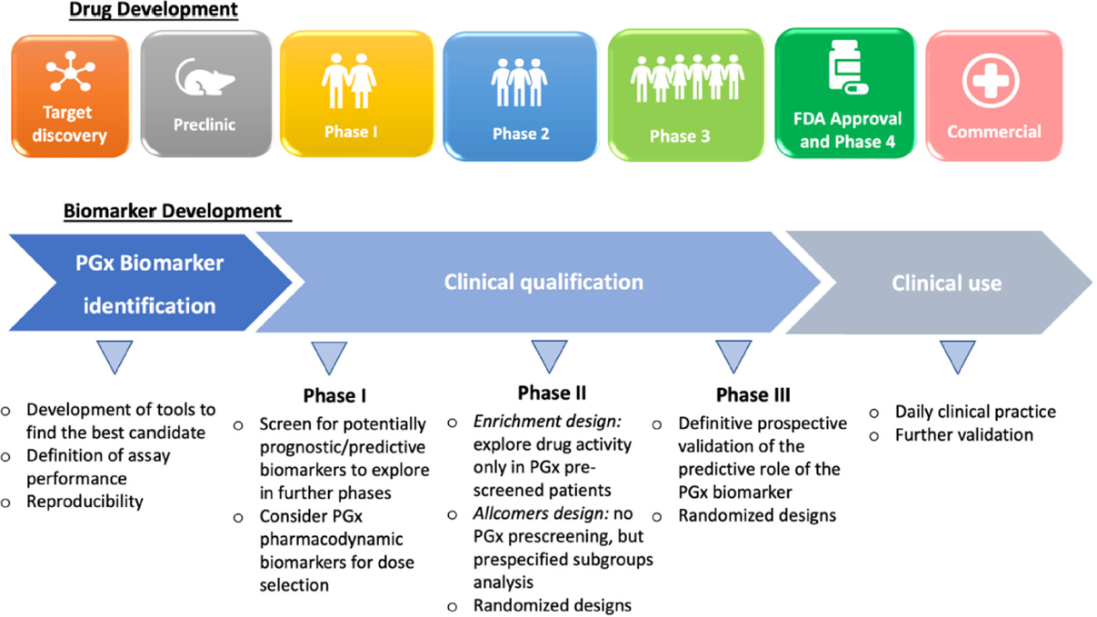 Opportunities And Challenges Of Implementing Pharmacogenomics In Cancer Drug Development