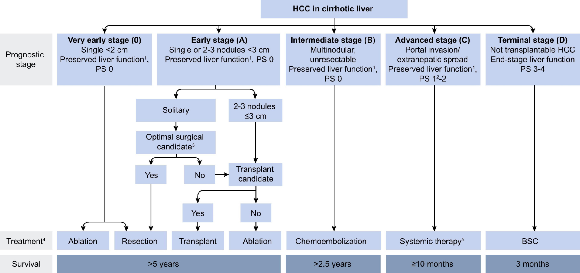 Hepatocellular Carcinoma Beyond Barcelona Clinic Liver Cancer Resection ...