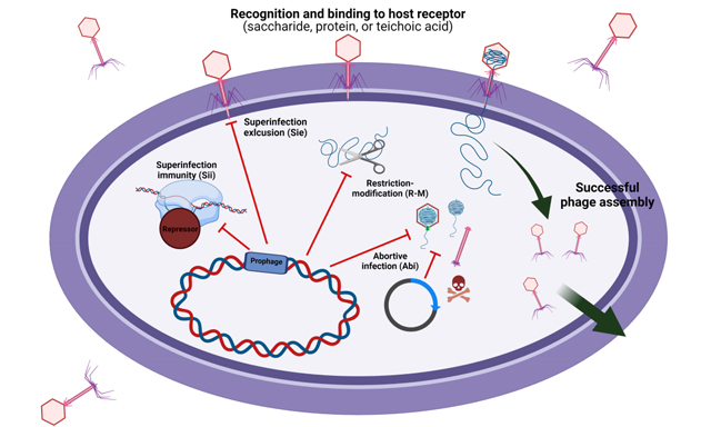 Microbiome Research Reports