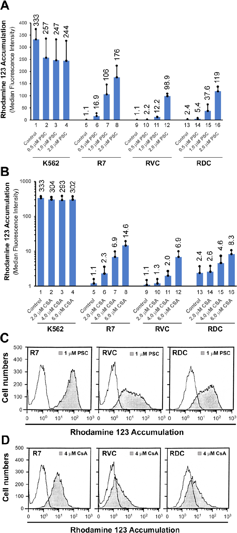 Genomic Stability At The Coding Regions Of The Multidrug Transporter Gene Abcb1 Insights Into The Development Of Alternative Drug Resistance Mechanisms In Human Leukemia Cells