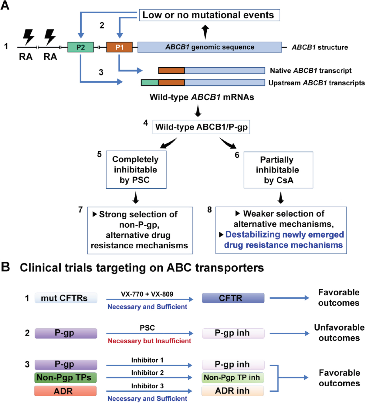 Genomic Stability At The Coding Regions Of The Multidrug Transporter Gene Abcb1 Insights Into The Development Of Alternative Drug Resistance Mechanisms In Human Leukemia Cells