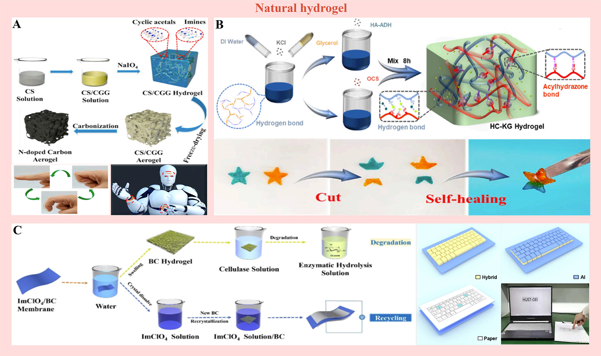 Recent advances in flexible and soft gelbased pressure sensors
