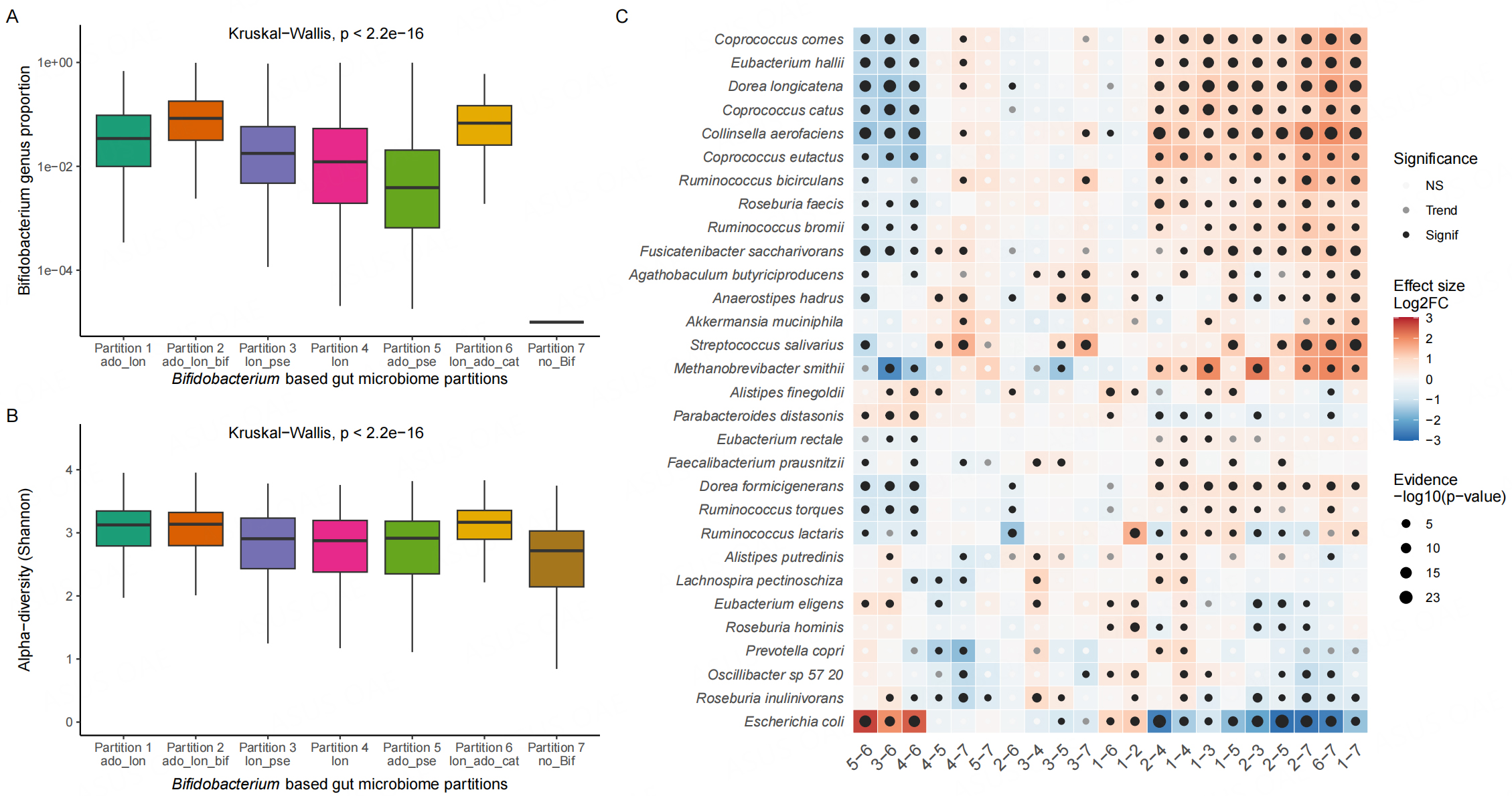 Exploring Bifidobacterium Species Community And Functional Variations ...