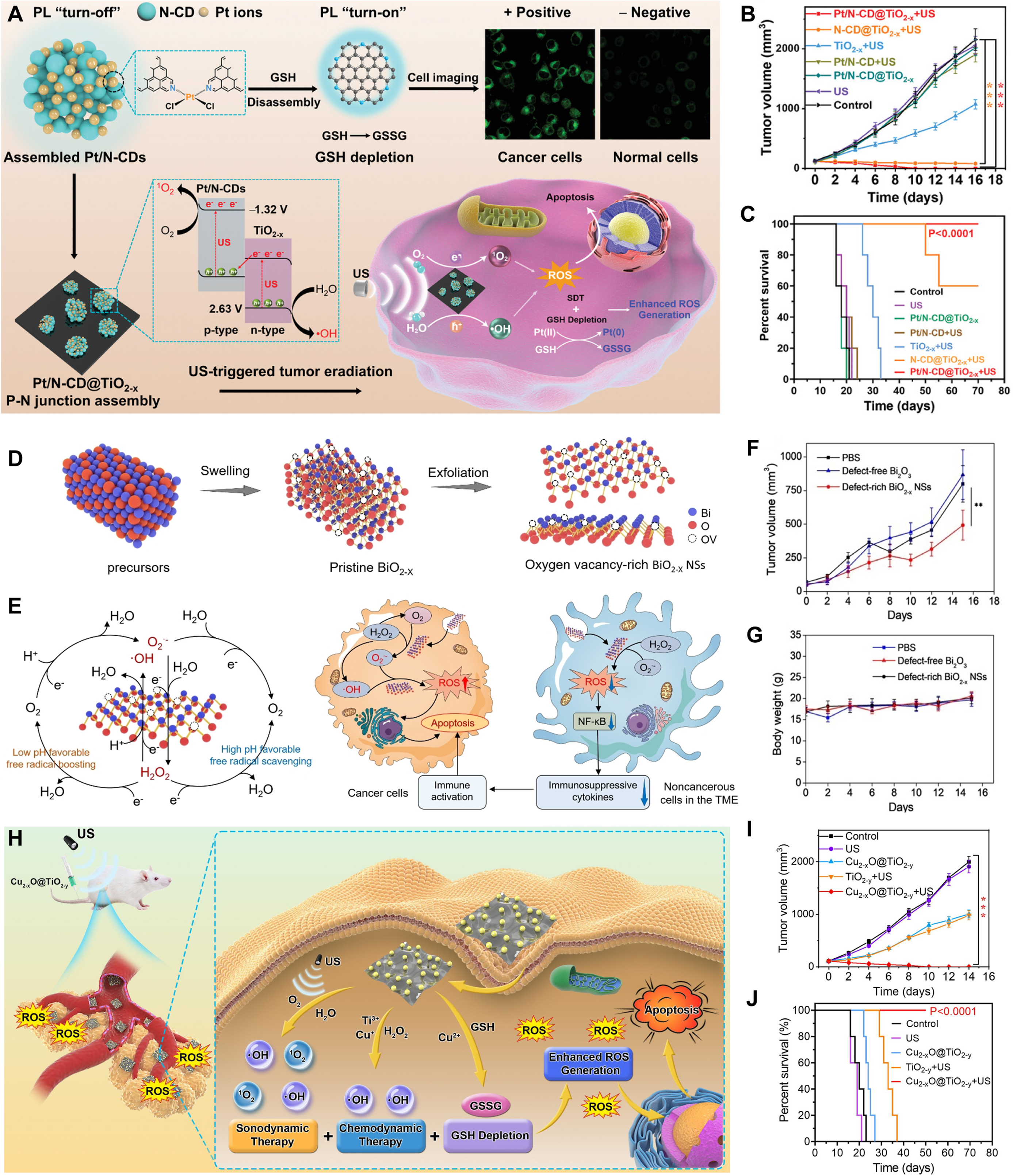 Oxygen vacancy modulation in two-dimensional metal oxides for biomedical applications
