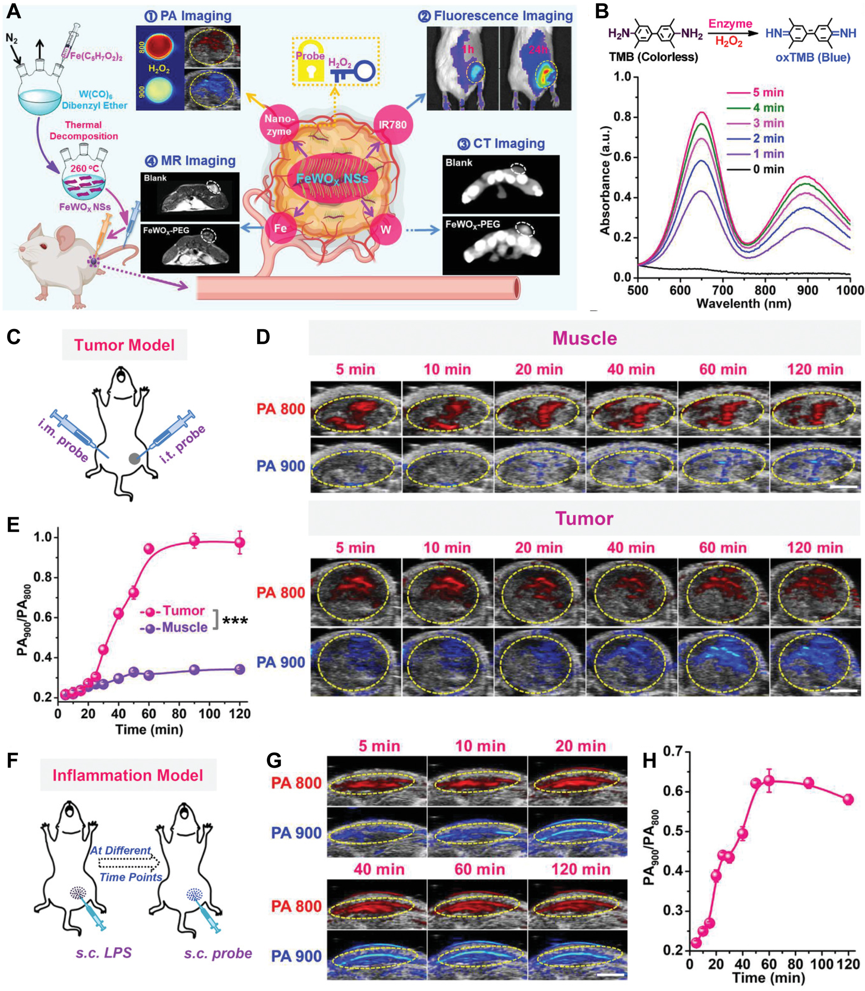 Oxygen vacancy modulation in two-dimensional metal oxides for biomedical applications