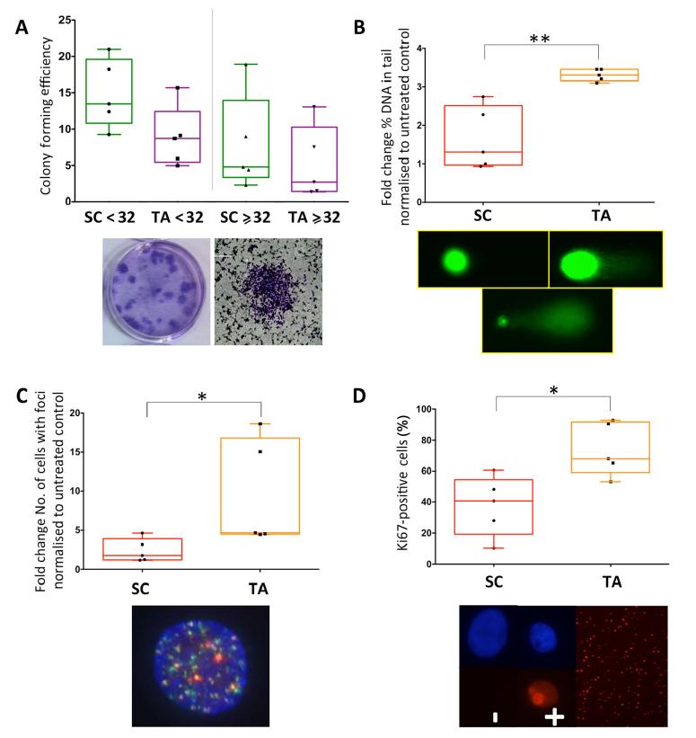 Tumor heterogeneity and therapy resistance implications