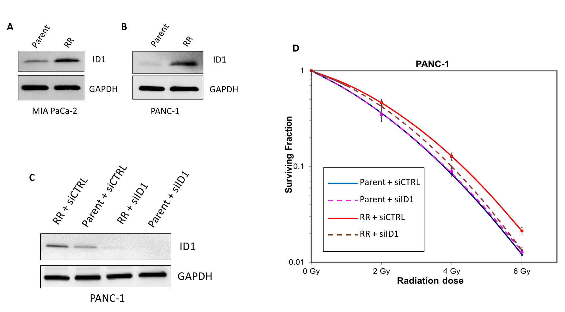 Discovery Of The Inhibitor Of DNA Binding 1 As A Novel Marker For   5238.fig.4 