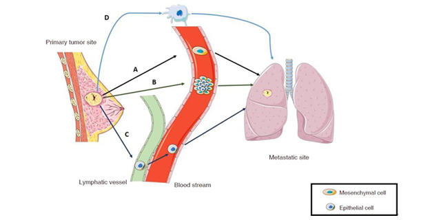 Respiratory case study quizlet picture