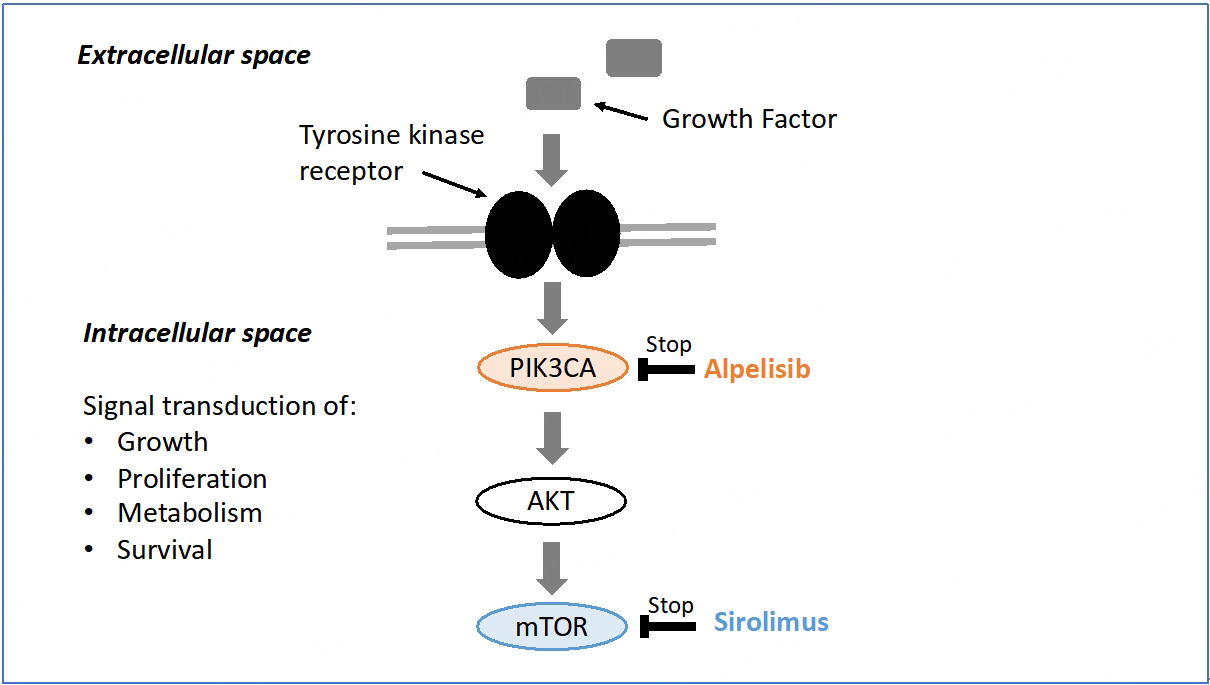 Connecting academia and industry for innovative drug repurposing in rare diseases: it is worth a try