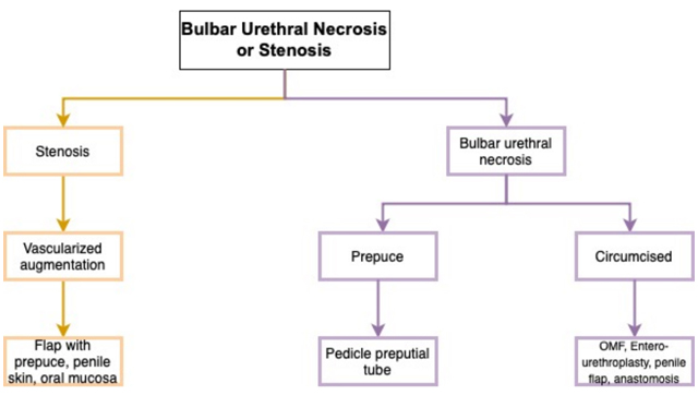 Treatment of urethral stricture disease in women