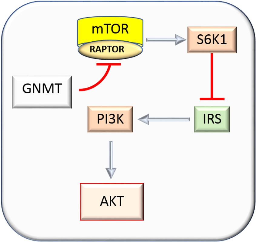 uptodate mesothelioma