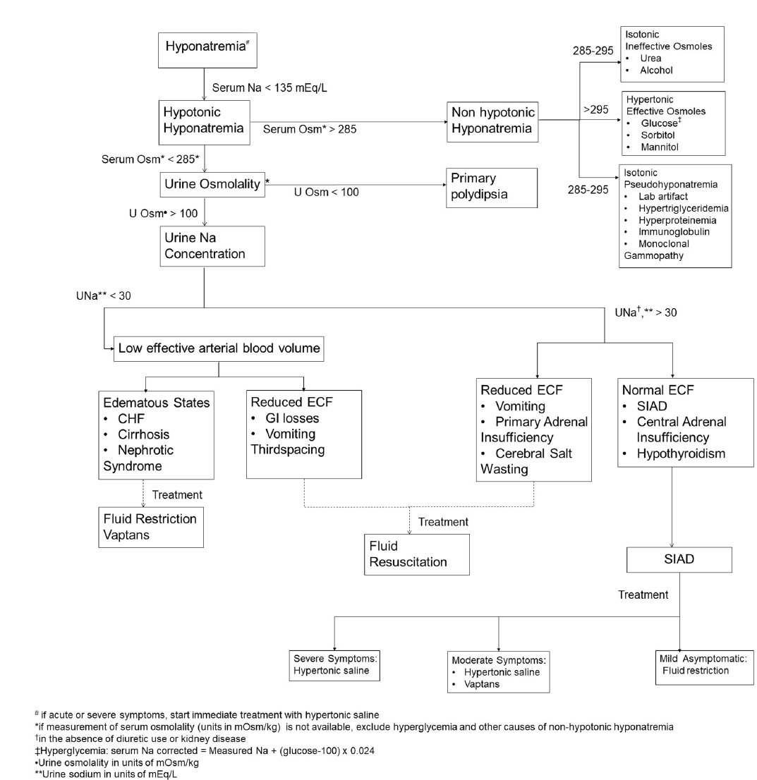 12 Normal Saline For Hypernatremia 4247