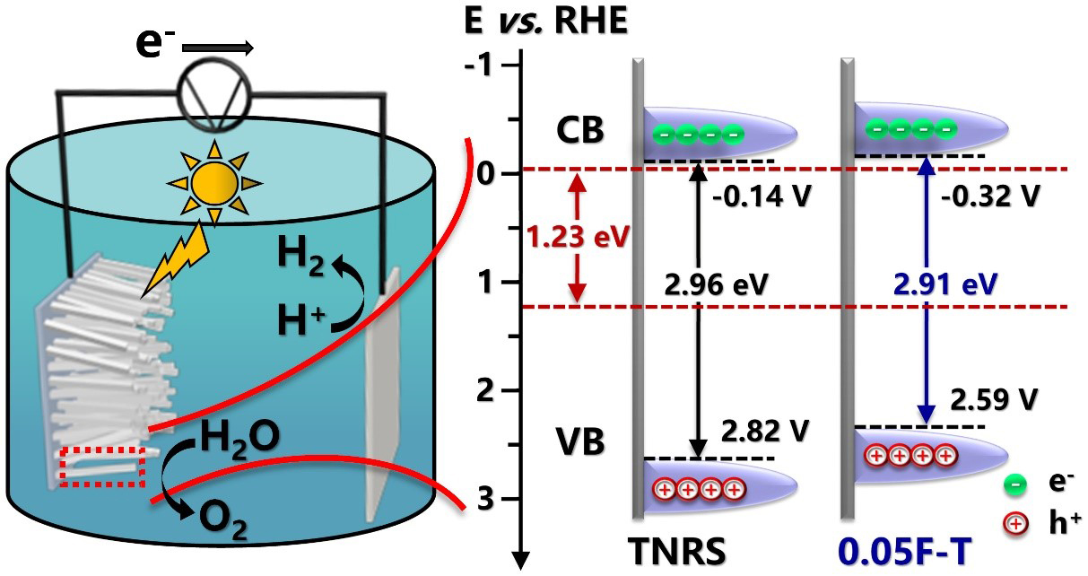 Fluorine-doped titanium dioxide nanorod arrays for efficient photoelectrochemical water splitting