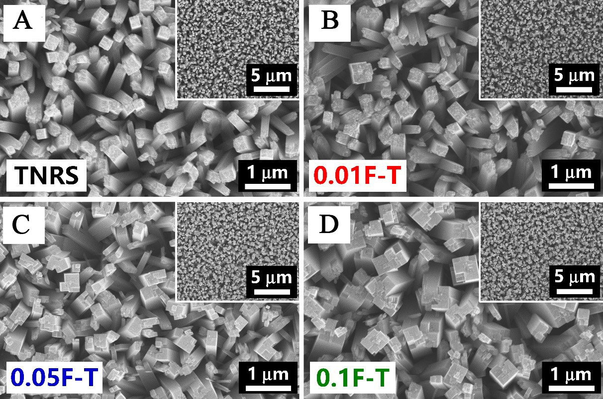 Fluorine-doped titanium dioxide nanorod arrays for efficient photoelectrochemical water splitting