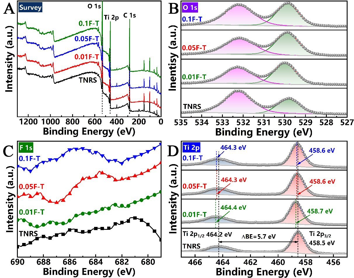 Fluorine-doped titanium dioxide nanorod arrays for efficient photoelectrochemical water splitting