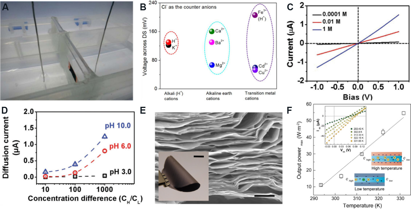 Two-dimensional Nanofluidics For Blue Energy Harvesting