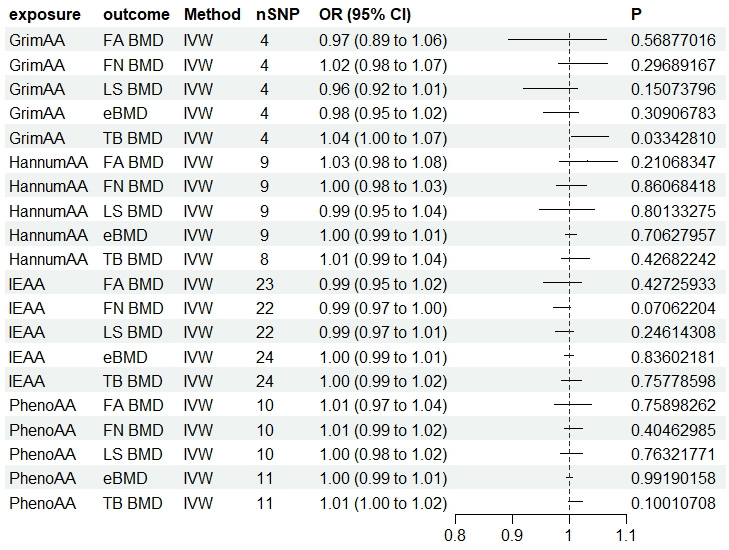 The causal relationship between epigenetic aging and osteoporosis: a bi-directional Mendelian randomization study