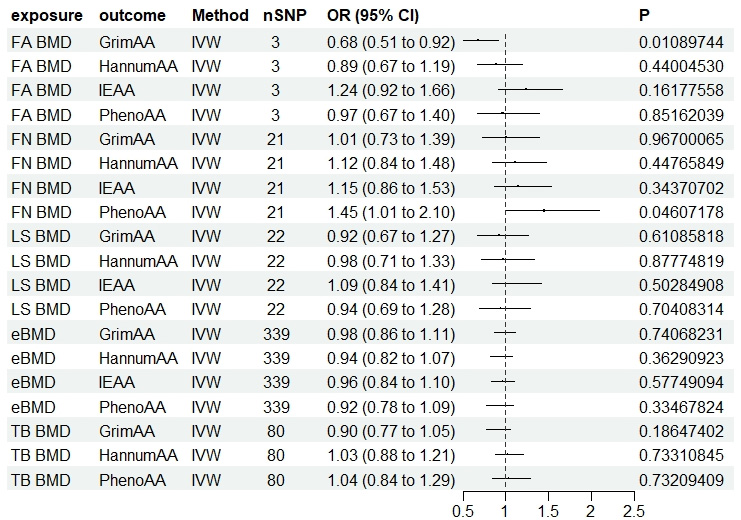 The causal relationship between epigenetic aging and osteoporosis: a bi-directional Mendelian randomization study