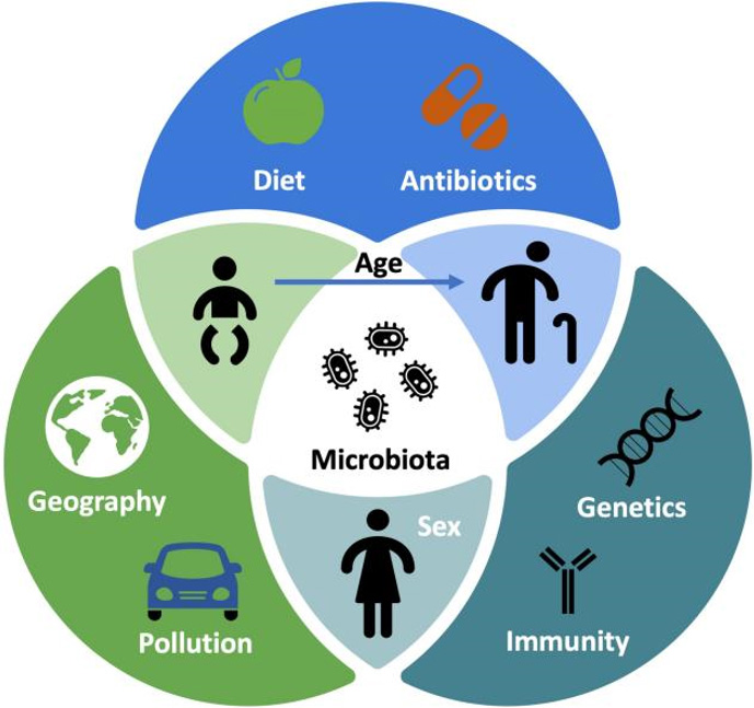 The Microbiome And Aging