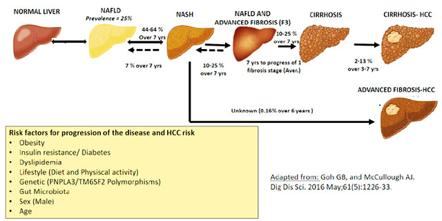 Hepatoma Research