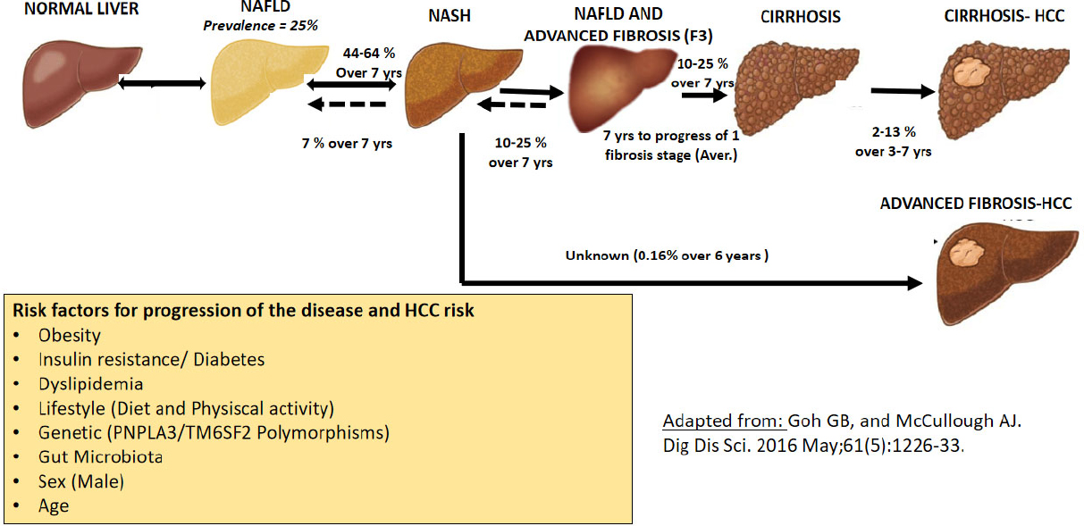 progress of liver disease liver