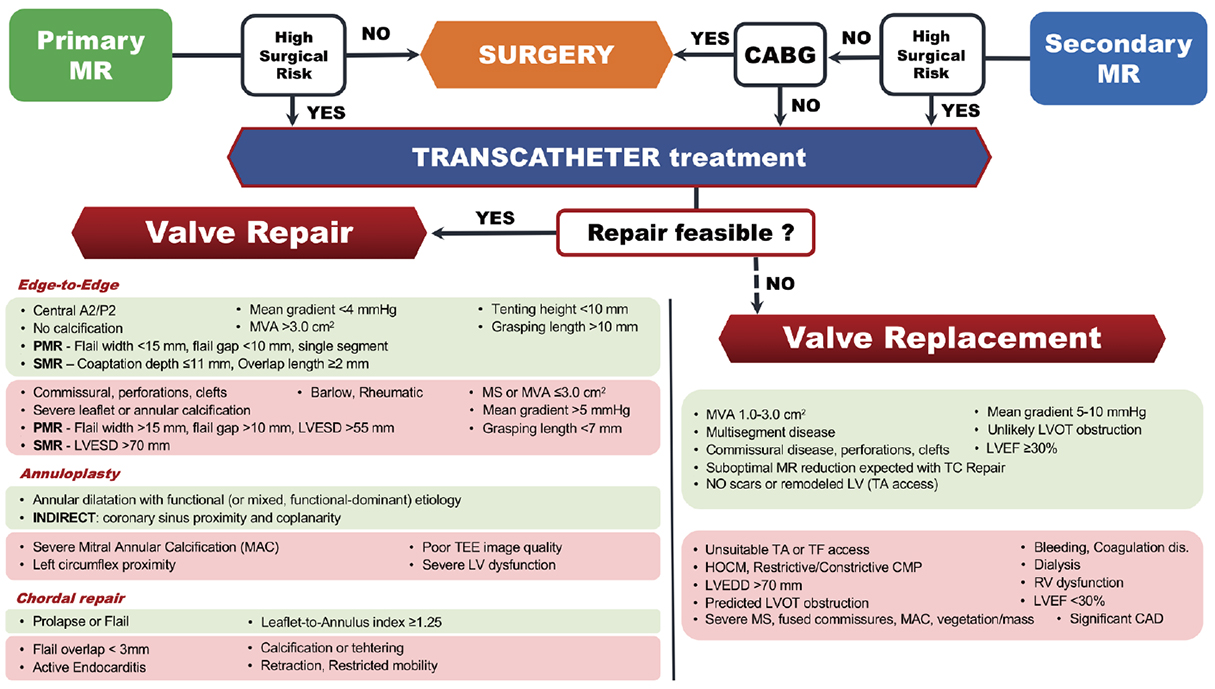 Patient Selection For Trans Catheter Mitral Valve Repair Vs Replacement Ongoing Indications And Glimpse To The Future