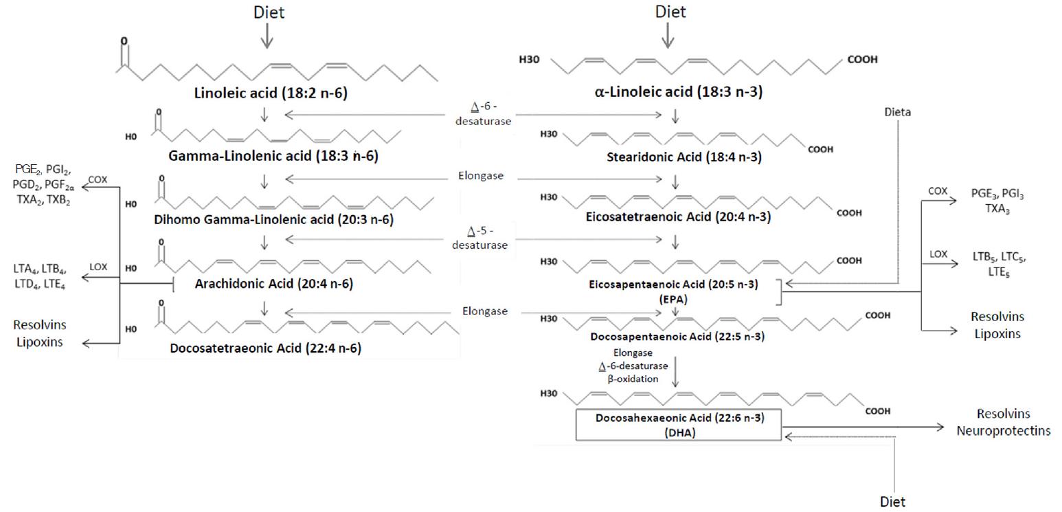 Desacuerdo Además Anémona de mar Omega-3 polyunsaturated fatty acids and cardiovascular health: a molecular  view into structure and function