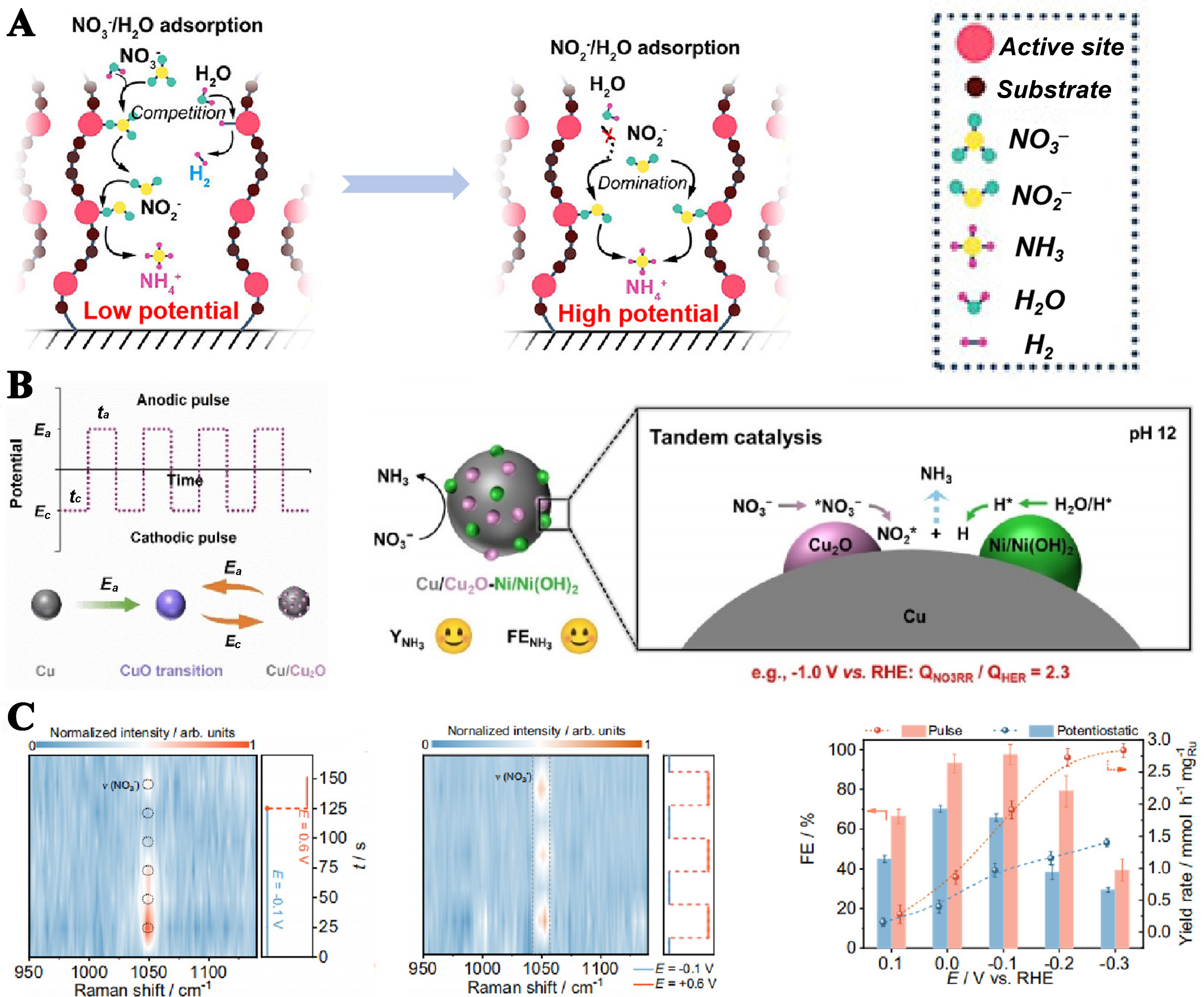 Recent progress in ammonia production via plasma-electrocatalysis cascade system