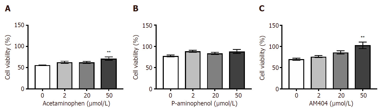 Acetaminophen Metabolites P Aminophenol And Am404 Inhibit Microglial Activation