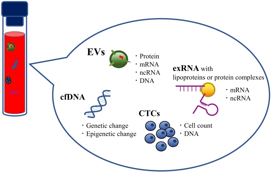 Extracellular Vesicles As A Promising Biomarker Resource In Liquid ...