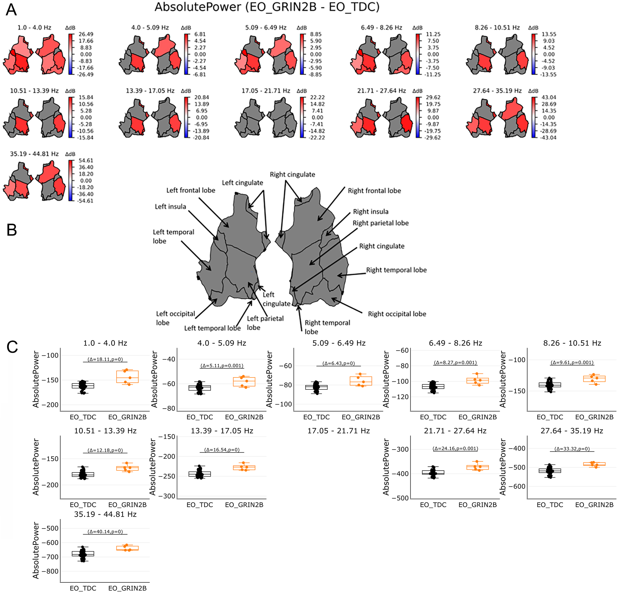 Electroencephalogram (EEG) network-level excitation-inhibition in <i>GRIN2B</i>-related neurodevelopmental disorders: a pilot case-control series
