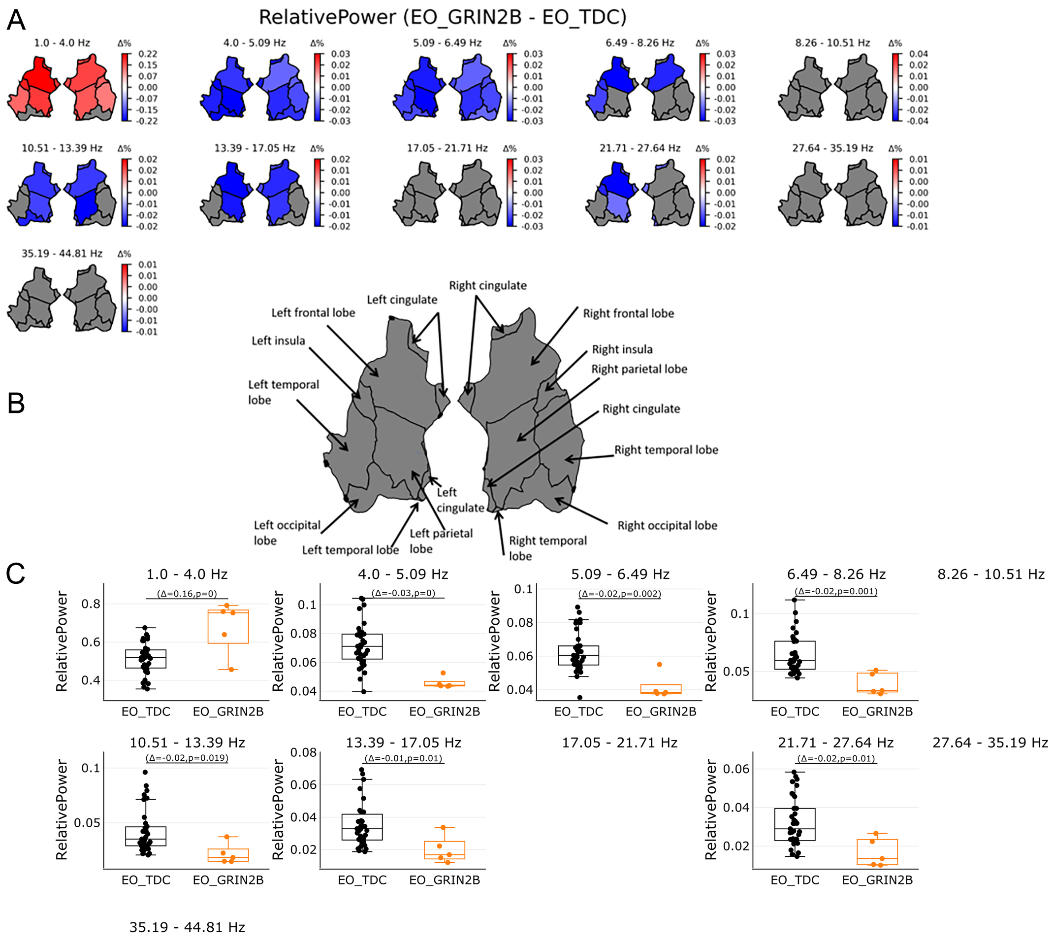 Electroencephalogram (EEG) network-level excitation-inhibition in <i>GRIN2B</i>-related neurodevelopmental disorders: a pilot case-control series