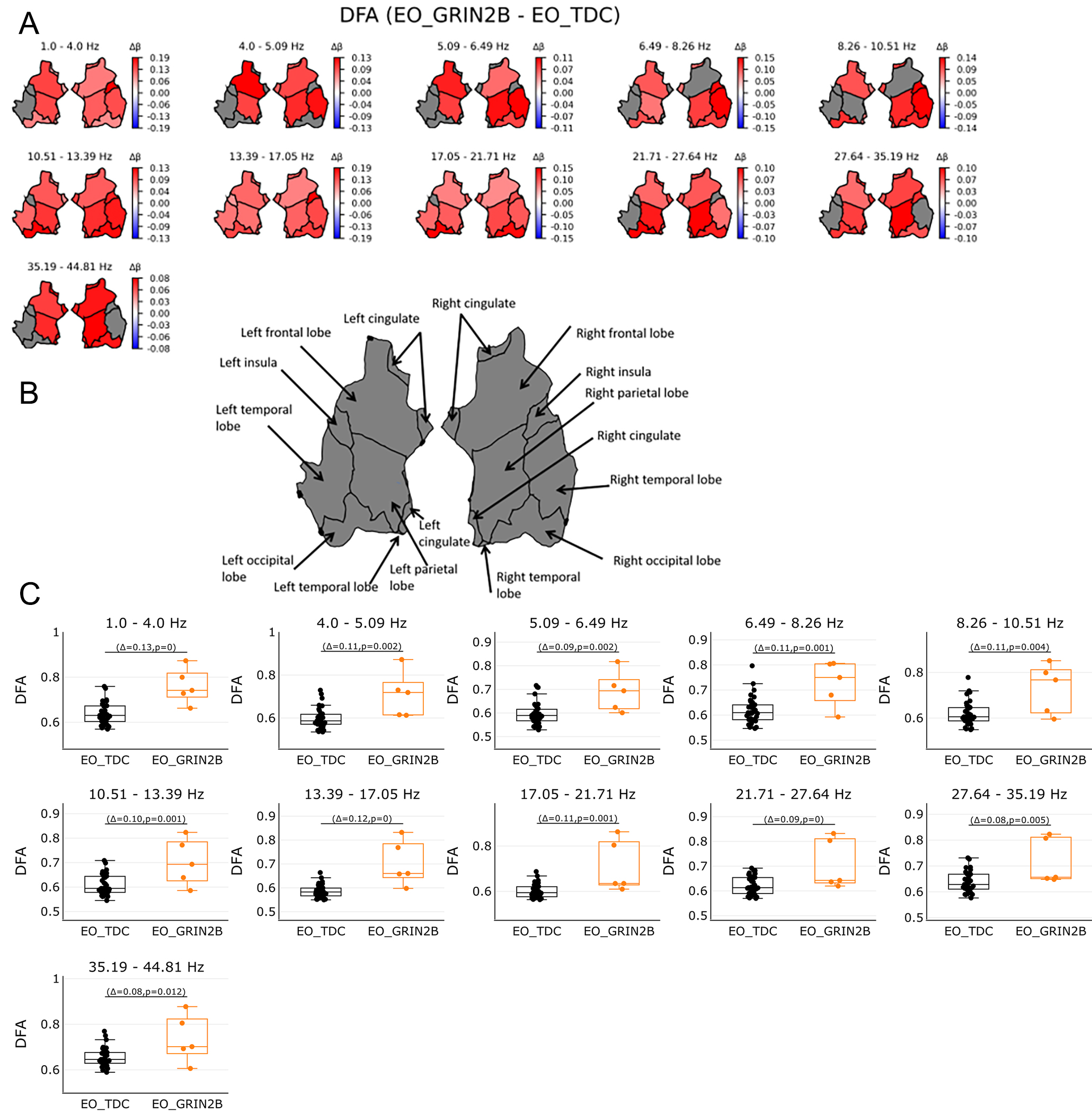 Electroencephalogram (EEG) network-level excitation-inhibition in <i>GRIN2B</i>-related neurodevelopmental disorders: a pilot case-control series
