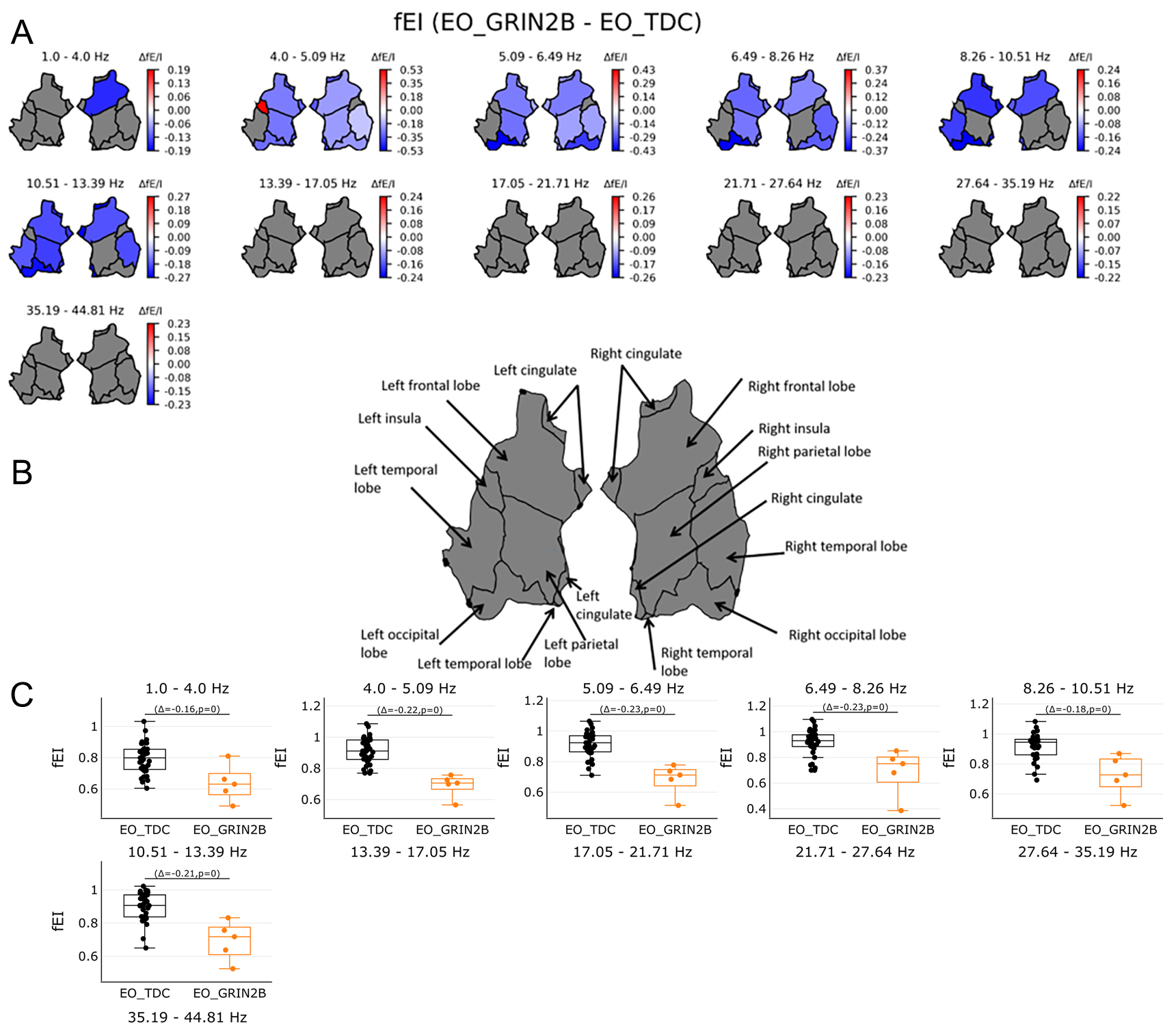 Electroencephalogram (EEG) network-level excitation-inhibition in <i>GRIN2B</i>-related neurodevelopmental disorders: a pilot case-control series