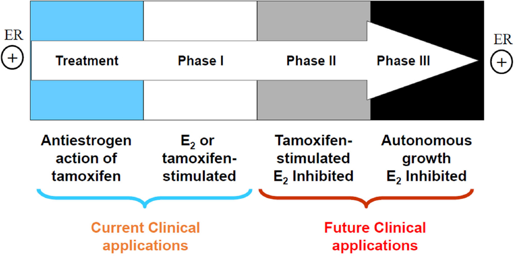 ciclo trenbolone e winstrol Avventure